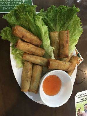 spring rolls   at Genkan Vegan Cafe in Dong Hoi