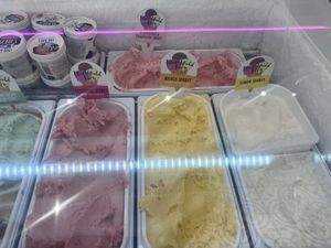   at Scoops 37 in Southend-on-sea