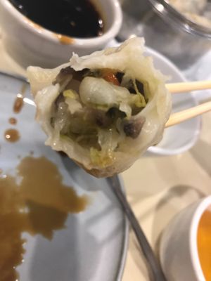 Vegan dumpling cabbage mushrooms  at Bodhi Village in Flushing