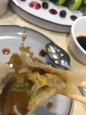 Vegan dumpling zoom in  at Bodhi Village in Flushing