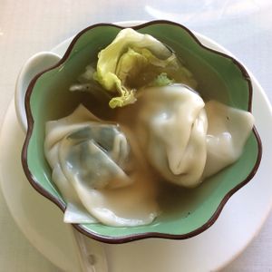 wontoon soup at Bodhi Village in Flushing