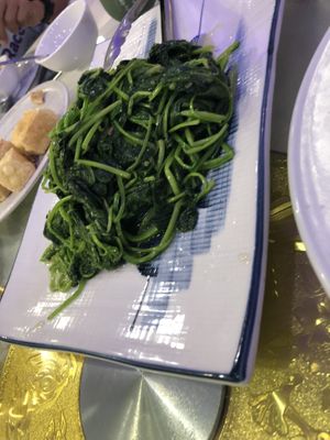   at Bodhi Village in Flushing