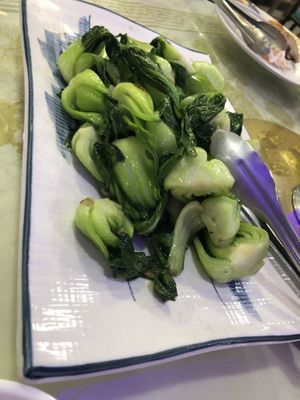   at Bodhi Village in Flushing