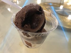Vegan chocolate ice cream   at Bodhi Village in Flushing