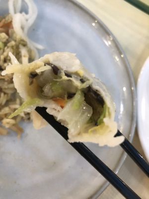 Steamed vegan dumpling 🥟   at Bodhi Village in Flushing
