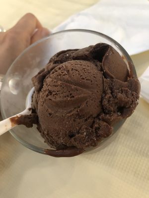 Vegan chocolate ice cream   at Bodhi Village in Flushing