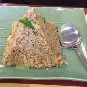 Vegan Chicken Fried Rice at Bodhi Village in Flushing