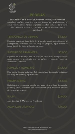 Carta at Hiedra Vegana in Santiago