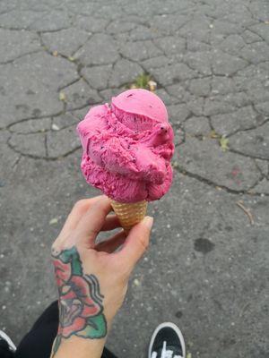 Pitaya at Lastovka in Maribor