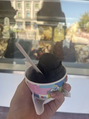 Vegan chocolate and coconut water ice cream (amaaazinngg)  at Lastovka in Maribor