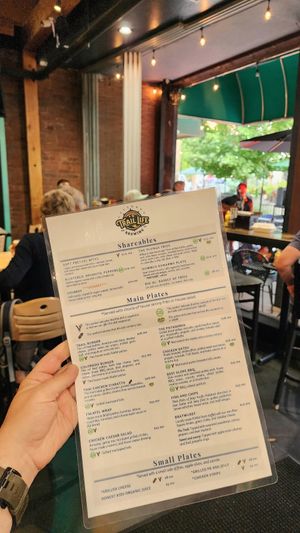 Vegan Menu + live music at Trail Life Brewing in Grand Junction