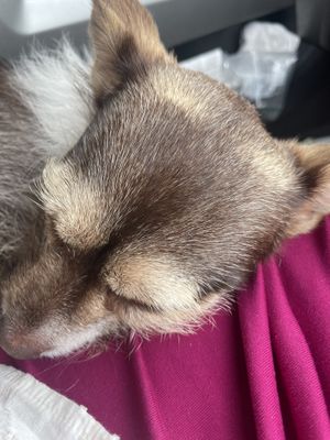   at Trail Life Brewing in Grand Junction