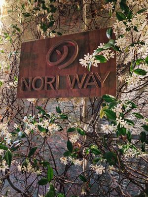  at NORI WAY in Milan