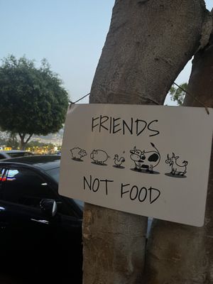 Cute board at the entree 2  at Tyche in Antalya