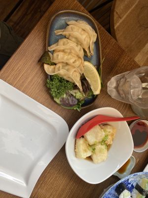 vegetable gyoza (served with sauce) and vegan agedashi tofu  at Hamayuu Japanese Restaurant in Chester