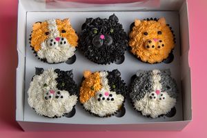  at My Vegan Sweet Tooth in Virginia Beach