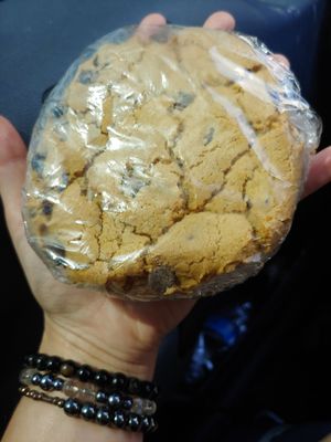 Giant Ice Cream Sandwich at My Vegan Sweet Tooth in Virginia Beach