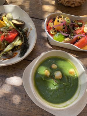 seasonal roasted veg, heirloom tomatoes and zuchinni and mint soup  at Le Moulin in Lourmarin