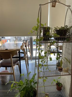   at Aejeong hot pot restaurant in Seoul