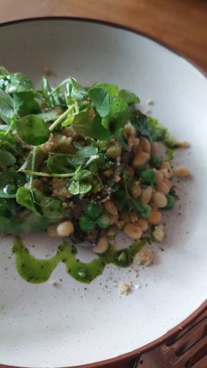 Pea dish with 3 kinds of peas, unique at Pietramala in Philadelphia