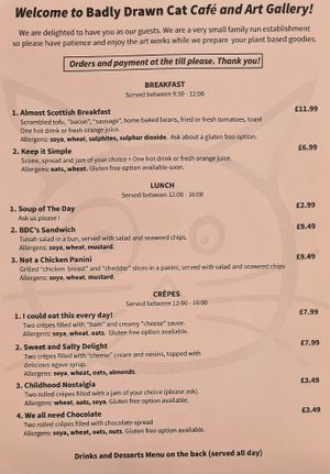  at Badly Drawn Cat Cafe and Gallery in Orkney Islands