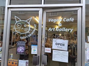  at Badly Drawn Cat Cafe and Gallery in Orkney Islands