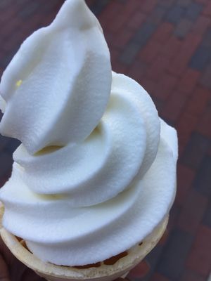 vanilla none sugar still sweet though  at J.P. Licks in Dedham