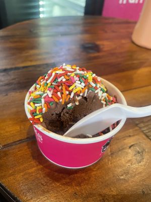 Vegan Chocolate  at J.P. Licks in Cambridge