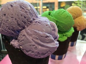 . at J.P. Licks in Cambridge