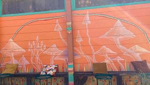   at Enjoy The Journey Cafe & Gallery in Silver City