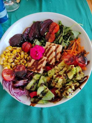 Tofu Buddha bowl at Jungle Vibes At The Marina (by Arabella) in Lanzarote