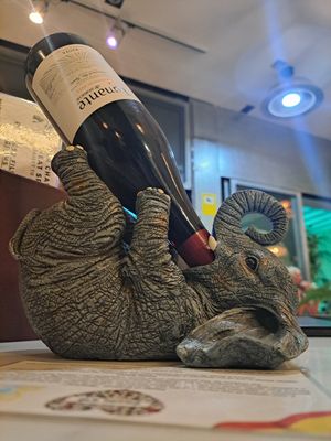  at Jungle Vibes At The Marina (by Arabella) in Lanzarote