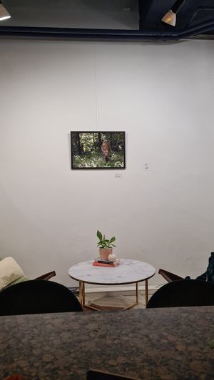  at Curious Buds in Luxembourg City