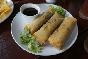 Eggrolls at Bambu in Santo Domingo