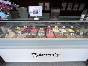 16 flavours of vegan icecream at Berry’s.   at Berry's - Charco in Tenerife