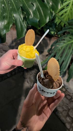  #Veganuary at Berry's - Charco in Tenerife