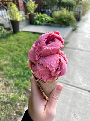 Vegan passionfruit flavor!  at The Merry Dairy in Ottawa