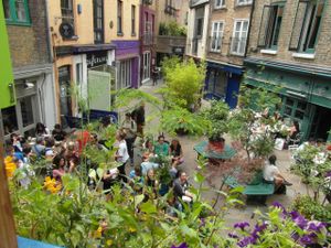 View from Wild Food Cafe, London at Wild Food Cafe in London