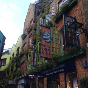 outside view  at Wild Food Cafe in London