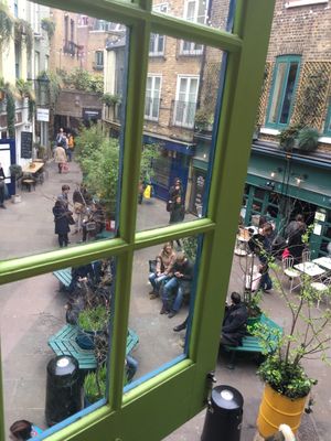 View to the outside at Wild Food Cafe in London