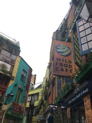 View of outside at Wild Food Cafe in London