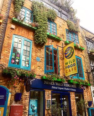 Wild Food Cafe  at Wild Food Cafe in London