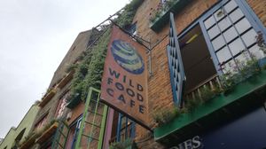 Outside at Wild Food Cafe in London