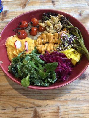 Delicious bowl at Wild Food Cafe in London