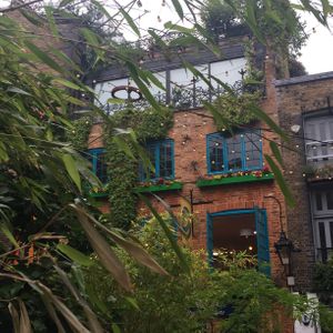 Beautiful Restaurant  at Wild Food Cafe in London