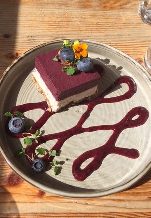 Definitely the highlight of the lunch. Blueberry “cheesecake”. Light and fluffy and not like cheesecake at all, but sooooo good   at Wild Food Cafe in London