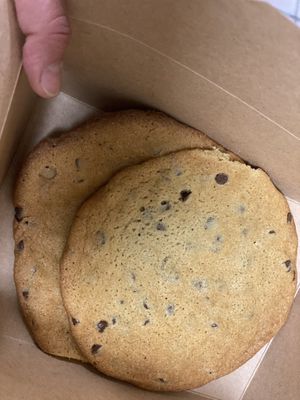   at Squatcho's in Rochester