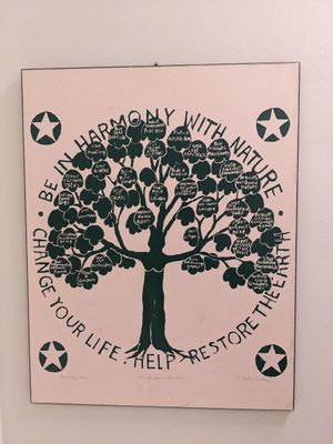  at Squatcho's in Rochester