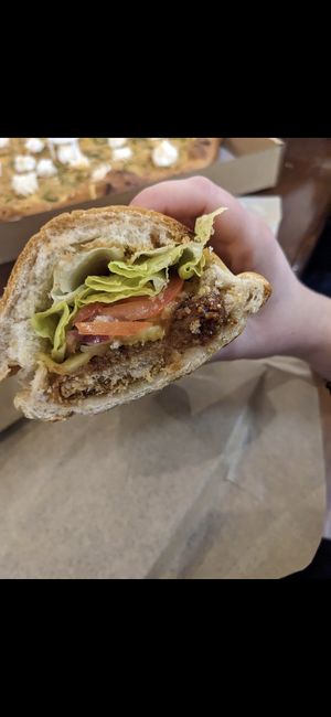 Boss sauce chicken sub at Squatcho's in Rochester