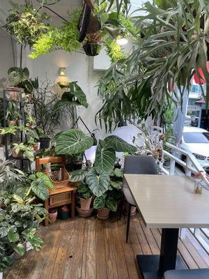 Outdoor seating and plant decor  at Islander Cafe 嶼人咖啡 in Taipei